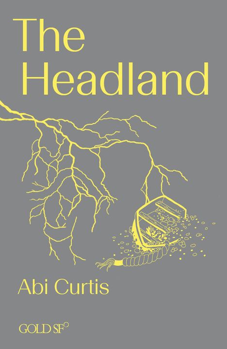 Abi Curtis: The Headland, Buch