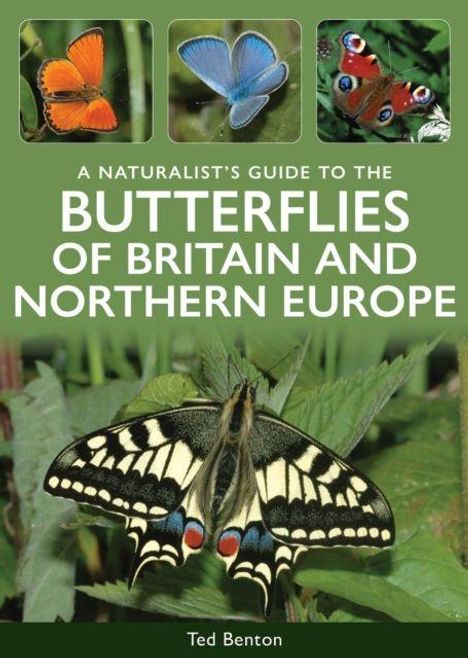 Titel: "A Naturalist's Guide to the Butterflies of Britain and Northern Europe" von Ted Benton. Untere Hälfte zeigt einen Schmetterling.