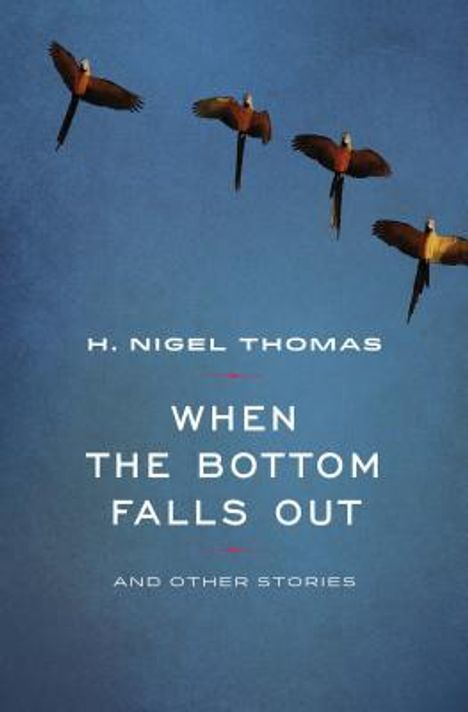 H Nigel Thomas: When the Bottom Falls Out, Buch