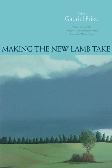 Gabriel Fried: Making the New Lamb Take, Buch