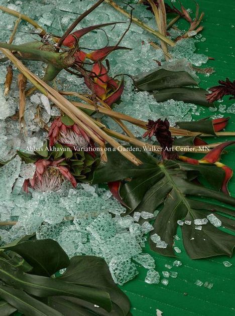 "Abbas Akhavan, Variations on a Garden, Walker Art Center, MN" über Pflanzen und zerbrochenem Glas auf grünem Boden.