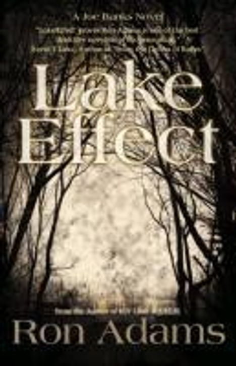 Ron Adams: Lake Effect, Buch