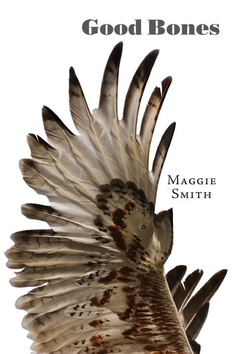 Maggie Smith: Good Bones, Buch