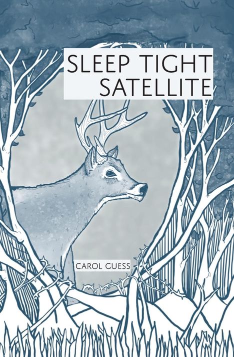 Carol Guess: Sleep Tight Satellite, Buch