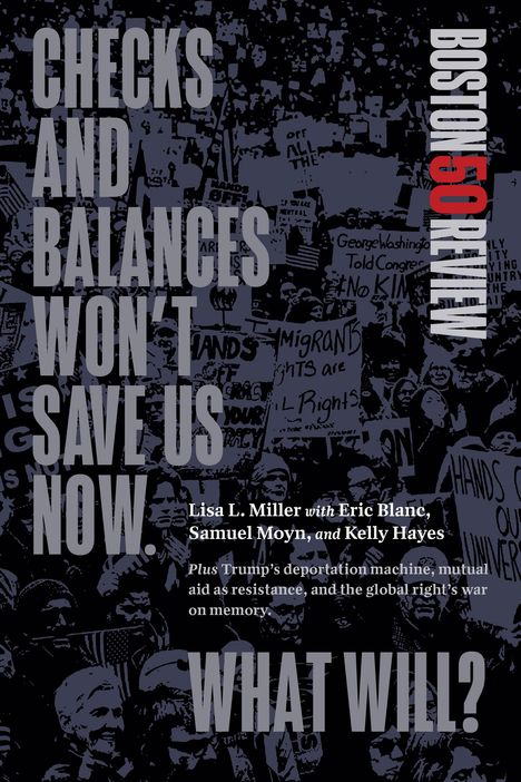 Lisa L Miller: Checks and Balances Won't Save Us Now. What Will?, Buch