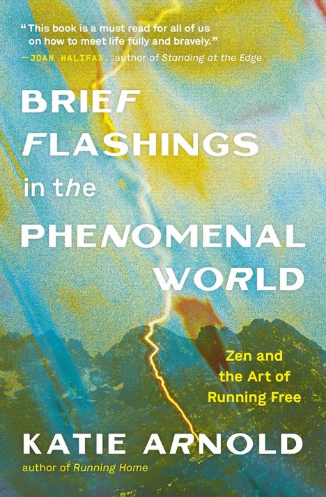 Katie Arnold: Brief Flashings in the Phenomenal World, Buch