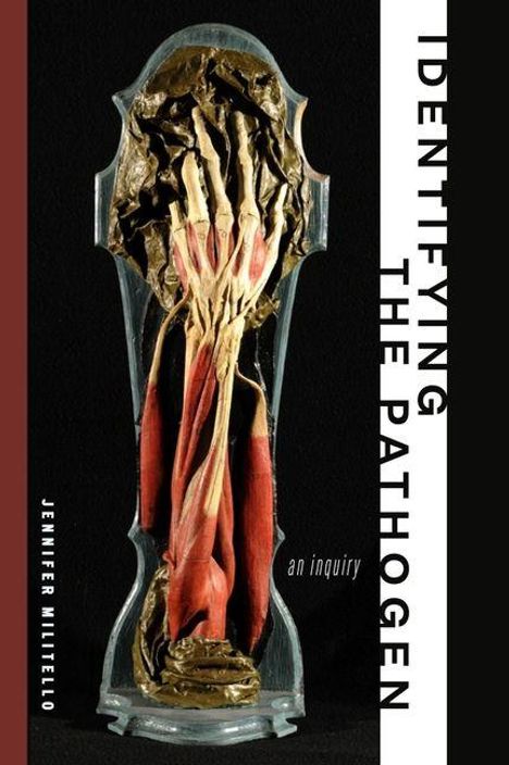 „Identifying the Pathogen: an inquiry“ von Jennifer Militello. Darstellung eines präparierten anatomischen Modells.