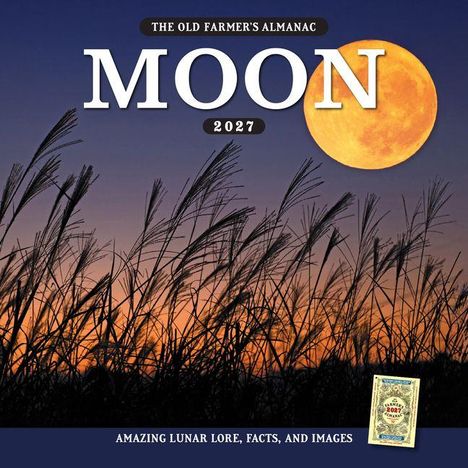 MOON 2027. Landschaft mit Schilf vor einem großen, orangefarbenen Vollmond am Abendhimmel.