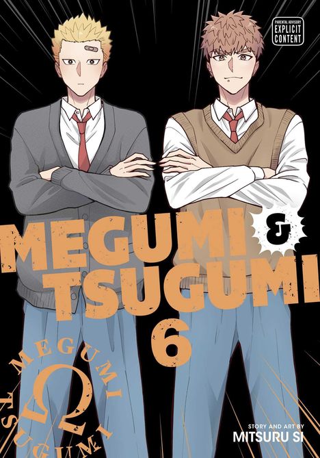 Mitsuru Si: Megumi & Tsugumi, Vol. 6, Buch