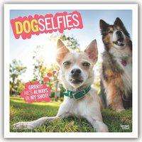 Dog Selfies - Hundeselfies - Hunde 2020 - 18-Monatskalender, Buch