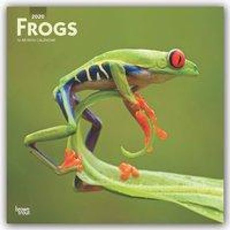 Inc Browntrout Publishers: Frogs 2020 Square Wall Calendar, Diverse