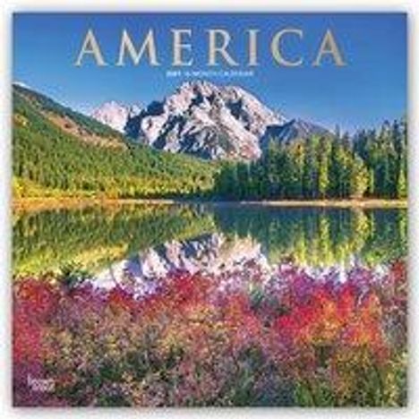 Browntrout: Browntrout: America 2021 Square Foil, Buch