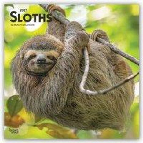 Browntrout: Browntrout: Sloths 2021 Square, Buch