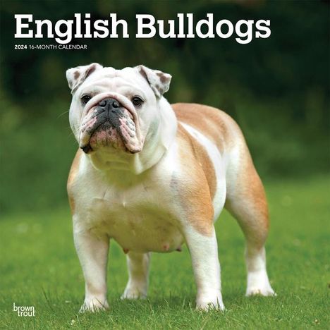 English Bulldogs 2024 Square, Kalender