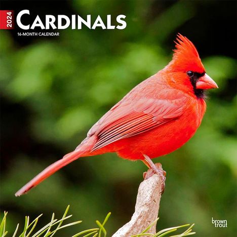 Cardinals 2024 Square, Kalender