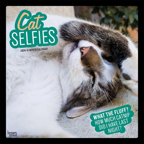 Cat Selfies 2024 Square, Kalender