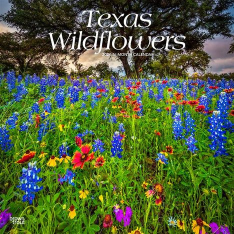 Texas Wildflowers 2024 Square, Kalender