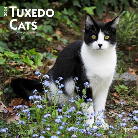 Tuxedo Cats 2024 Square, Kalender