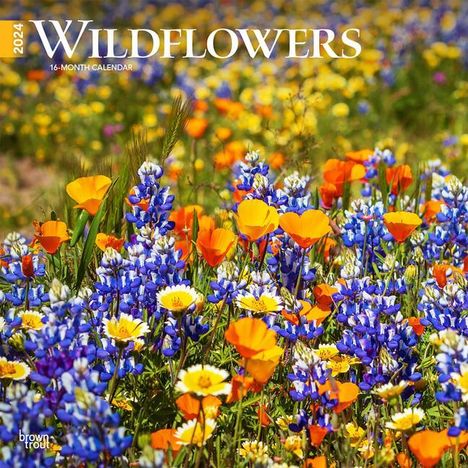 Wildflowers 2024 Square, Kalender