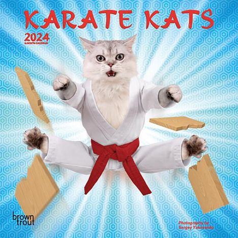 Karate Kats 2024 Mini, Buch