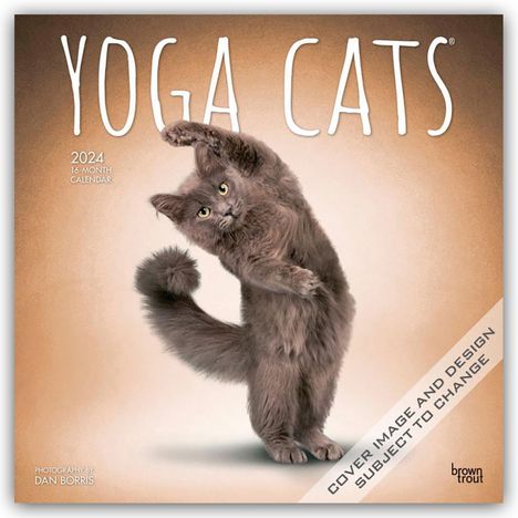 Yoga Cats 2024 Square, Kalender