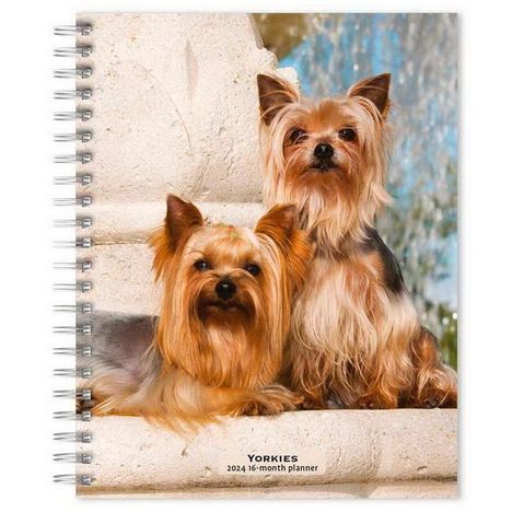 Yorkshire Terriers 2024 Engagement, Kalender