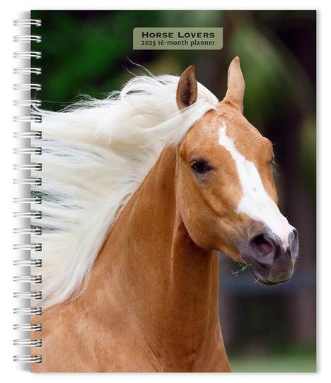 Browntrout: Horse Lovers 2025 6 X 7.75 Inch Spiral-Bound Wire-O Weekly Engagement Planner Calendar New Full-Color Image Every Week, Kalender