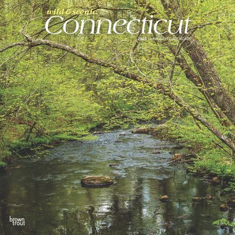 Browntrout: Connecticut Wild &amp; Scenic 2025 12 X 24 Inch Monthly Square Wall Calendar Plastic-Free, Kalender
