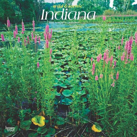 Browntrout: Indiana Wild &amp; Scenic 2025 12 X 24 Inch Monthly Square Wall Calendar Plastic-Free, Kalender