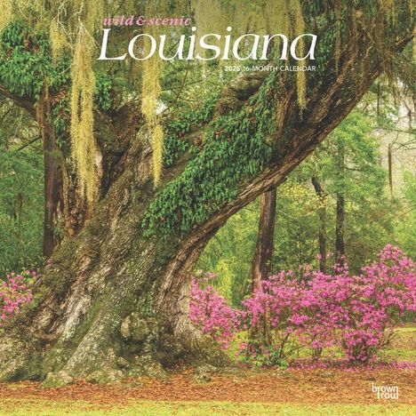 Browntrout: Louisiana Wild &amp; Scenic 2025 12 X 24 Inch Monthly Square Wall Calendar Plastic-Free, Kalender