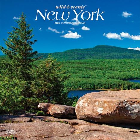 Browntrout: New York Wild &amp; Scenic 2025 12 X 24 Inch Monthly Square Wall Calendar Plastic-Free, Kalender