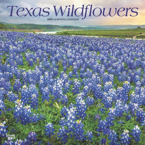 Browntrout: Texas Wildflowers 2025 12 X 24 Inch Monthly Square Wall Calendar Plastic-Free, Kalender