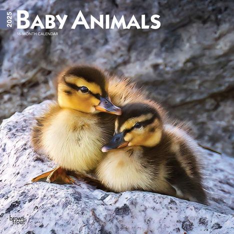 Browntrout: Baby Animals 2025 12 X 24 Inch Monthly Square Wall Calendar Plastic-Free, Kalender