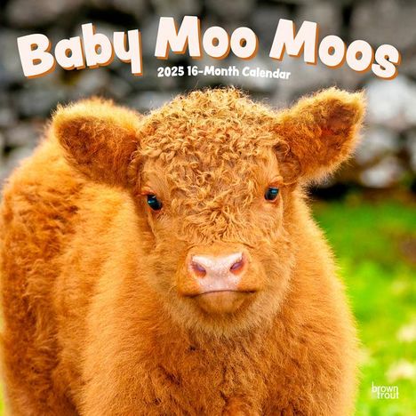 Browntrout: Baby Moo Moos 2025 12 X 24 Inch Monthly Square Wall Calendar Plastic-Free, Kalender