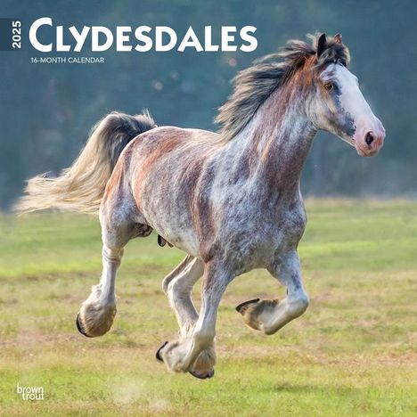Browntrout: Clydesdales 2025 12 X 24 Inch Monthly Square Wall Calendar Plastic-Free, Kalender