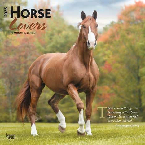 Browntrout: Horse Lovers 2025 12 X 24 Inch Monthly Square Wall Calendar Plastic-Free, Kalender