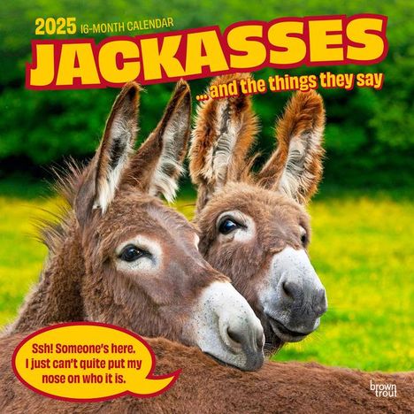 Browntrout: Jackasses 2025 12 X 24 Inch Monthly Square Wall Calendar Plastic-Free, Kalender