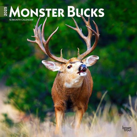 Browntrout: Monster Bucks 2025 12 X 24 Inch Monthly Square Wall Calendar Plastic-Free, Kalender