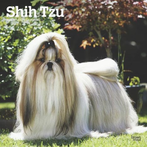 Browntrout: Shih Tzu 2025 12 X 24 Inch Monthly Square Wall Calendar Plastic-Free, Kalender