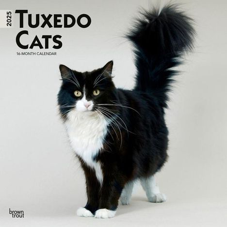 Browntrout: Tuxedo Cats 2025 12 X 24 Inch Monthly Square Wall Calendar Plastic-Free, Kalender