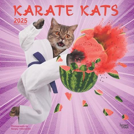 Browntrout: Karate Cats Official 2025 12 X 24 Inch Monthly Square Wall Calendar Plastic-Free, Kalender