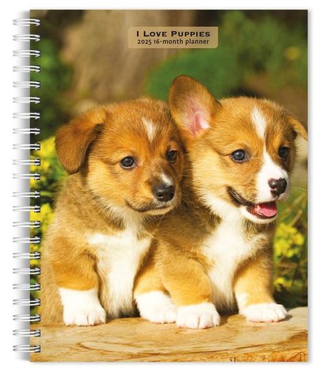 Browntrout: I Love Puppies 2025 6 X 7.75 Inch Spiral-Bound Wire-O Weekly Engagement Planner Calendar New Full-Color Image Every Week, Kalender