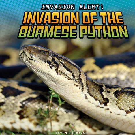 Text: „Invasion Alert! Invasion of the Burmese Python“. Eine burmesische Python in Nahaufnahme im Vordergrund.