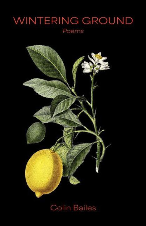 "WINTERING GROUND Poems Colin Bailes" 
Illustration: Zitronenbaum mit Blüte und Frucht auf schwarzem Hintergrund.