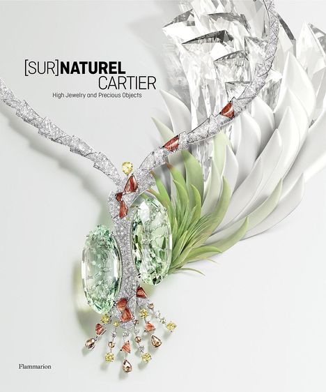 Francois Chaille: [Sur]Naturel Cartier, Buch