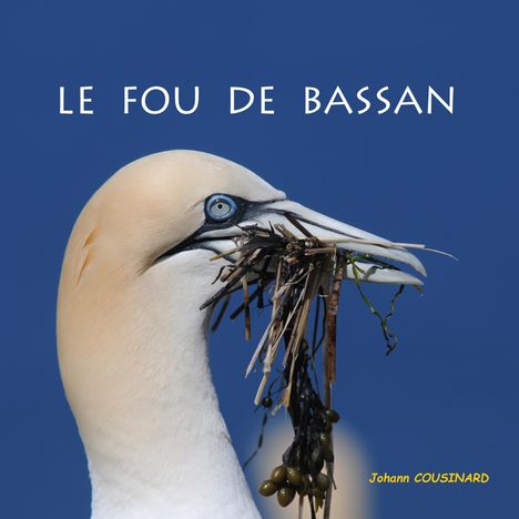 Johann Cousinard: Le fou de Bassan, Buch