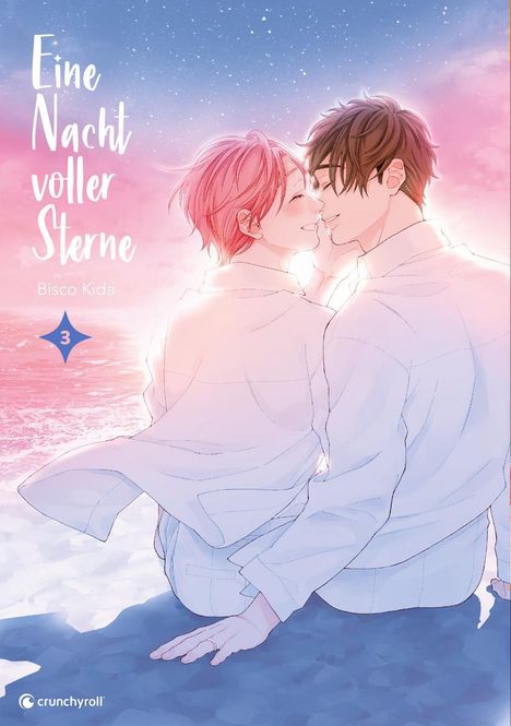 Bisco Kida: Eine Nacht voller Sterne - Band 3 (Finale), Buch