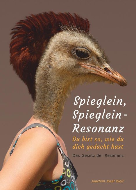 Joachim Josef Wolf: Spieglein, Spieglein - Resonanz, Buch