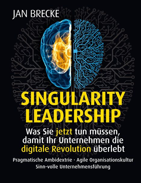 Jan Brecke: Singularity Leadership, Buch