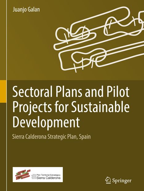 Juanjo Galan: Sectoral Plans and Pilot Projects for Sustainable Development, Buch